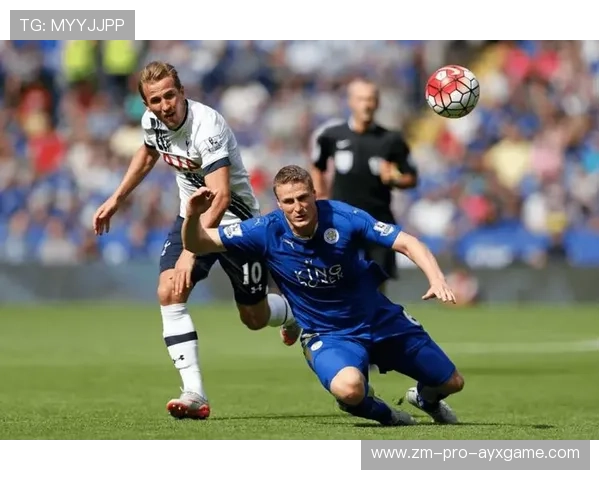 托特纳姆热刺边线传中搅动禁区